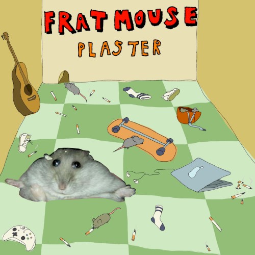 plaster