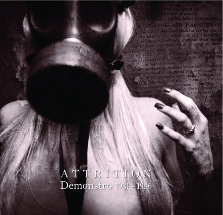 Demonstro 1981 ‐ 86