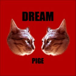 DREAM