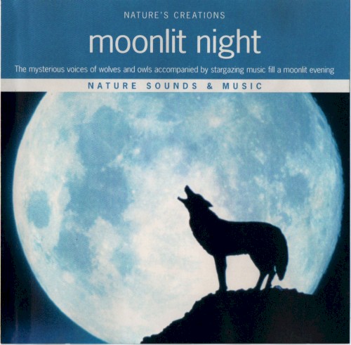 Moonlit Night