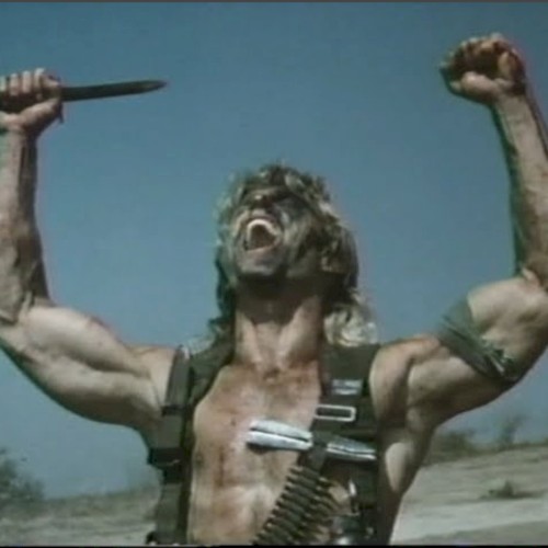 HARD TARGET