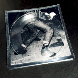 Photosynthetic 8"
