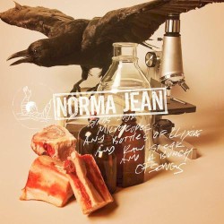 Birds and Microscopes and Bottles of Elixirs and Raw Steak and a Bunch of Songs