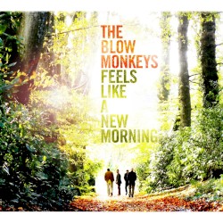 Feels Like a New Morning