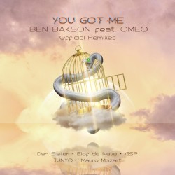 You Got Me (the official remixes)