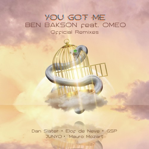 You Got Me (the official remixes)