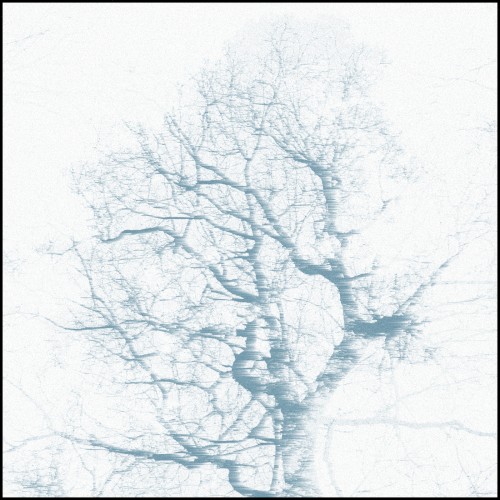 Branches