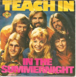 In the Summernight / Old Friend Goodbye
