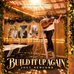 Build It Up Again
