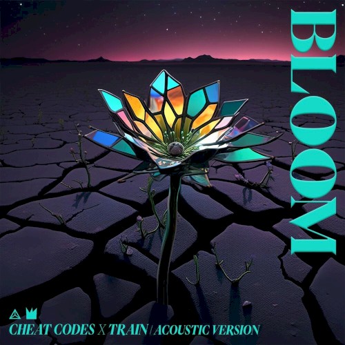 Bloom (acoustic version)