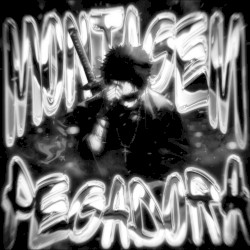 MONTAGEM PEGADORA (Remixes)