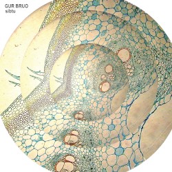 Sibtu