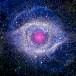 Pupillary Response