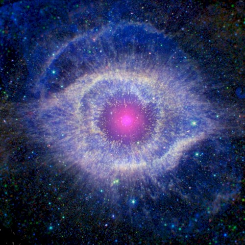 Pupillary Response