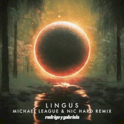 Lingus (Michael League & Nic Hard remix)
