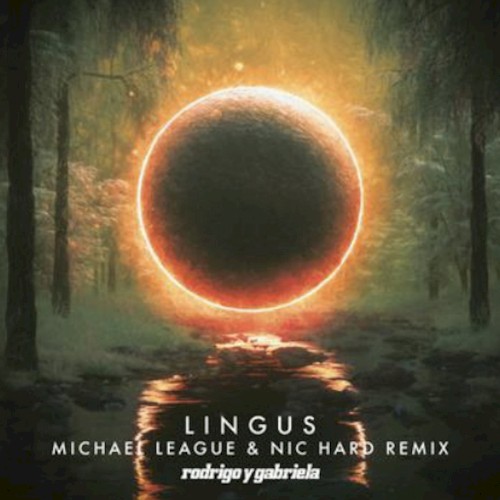 Lingus (Michael League & Nic Hard remix)