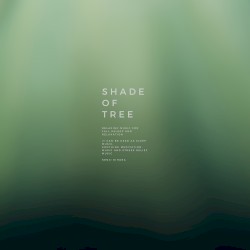 Shade of Tree