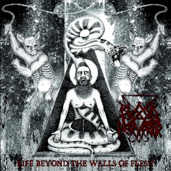 Life Beyond the Walls of Flesh