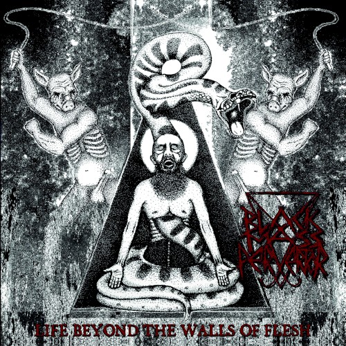 Life Beyond the Walls of Flesh