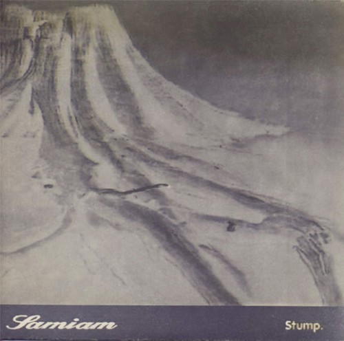 Stump.