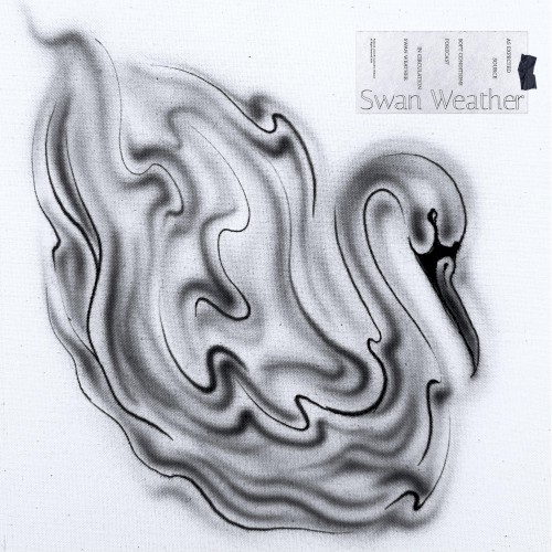 Swan Weather