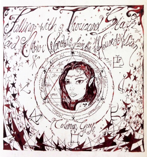 Falling With a Thousand Stars and Other Wonders From the House of Albion