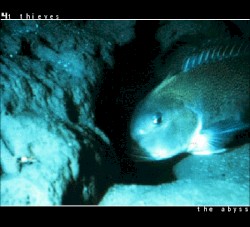 The Abyss