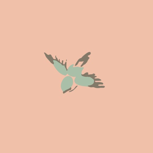 luvbird ep