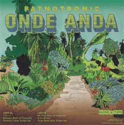 Onde Anda