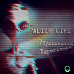 Psychedelic Experience