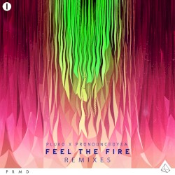 Feel the Fire (Remixes)