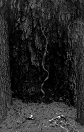 One Master / Ninhursag