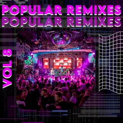 Popular Remixes, Vol. 8