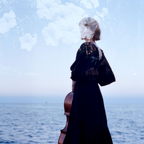 Cello, Again