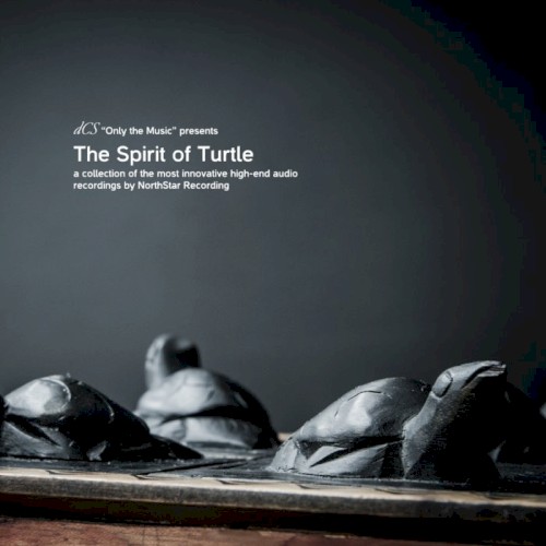 dCS Presents: The Spirit of Turtle