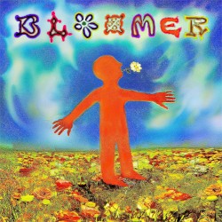 BLOOMER