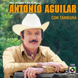 Mi gusto es