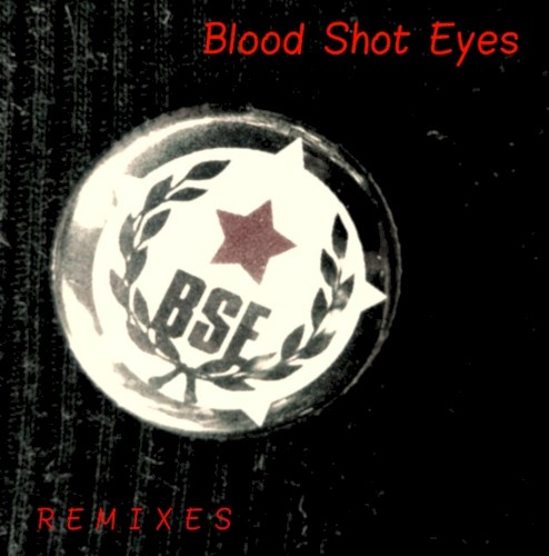 Remixes 2010 / 2011