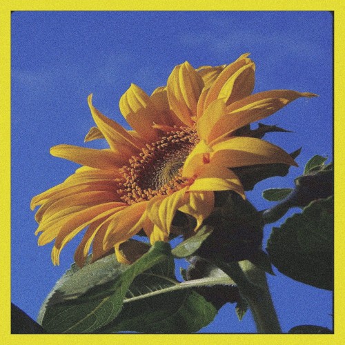 Yellow Springs
