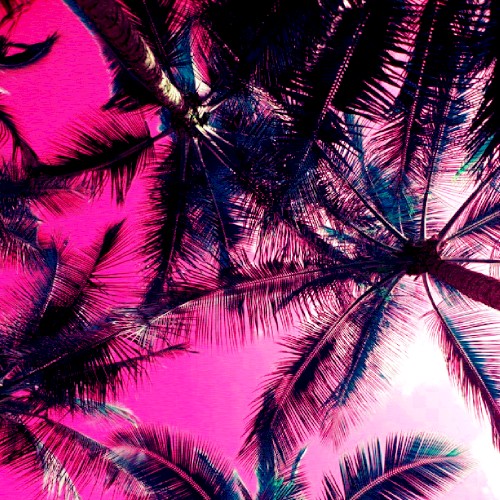 ＳＵＭＭＥＲ 夢