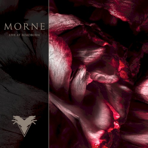 Live at Roadburn
