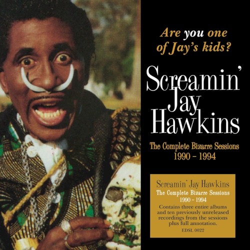 Are You One of Jay’s Kids? The Complete Bizarre Sessions 1990–1994