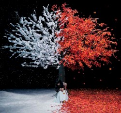 茜さす / everlasting snow