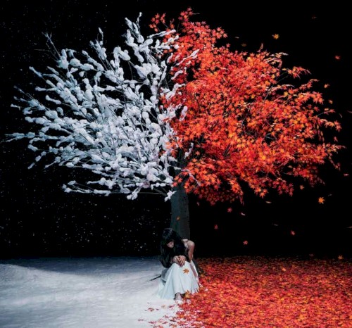 茜さす / everlasting snow