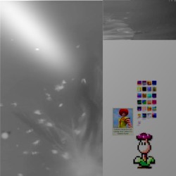 [adult swim] 10PM-1AM