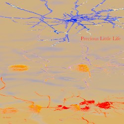 Precious Little Life