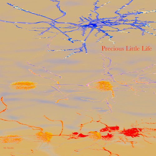 Precious Little Life
