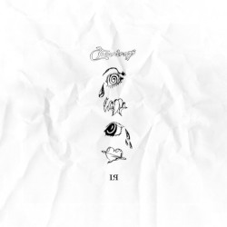 Teardrops (acoustic)