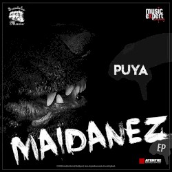 Maidanez