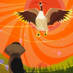 Goose